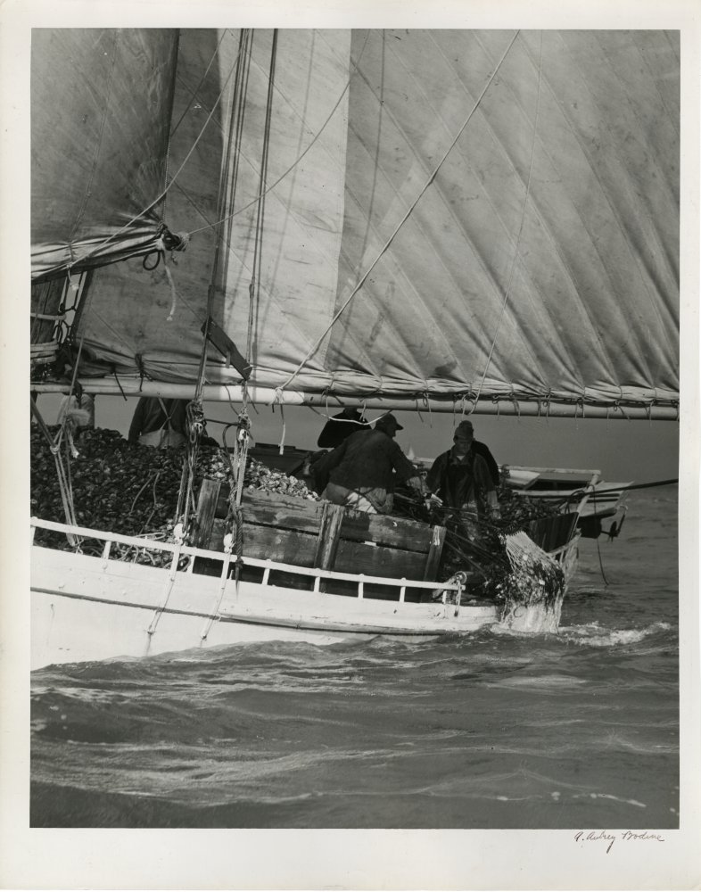 34-446 (click for large image)